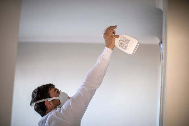 Best Residential Mold Removal  in Tamiami, FL