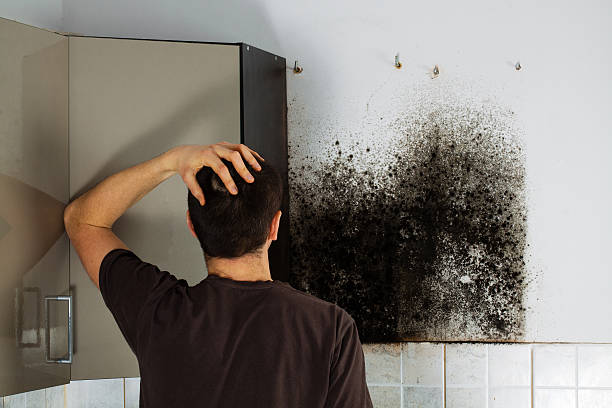 Best Crawl Space Mold Removal  in Tamiami, FL